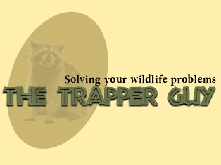 Mole Trapper Guy