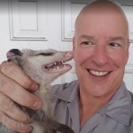 Tampa opossum control